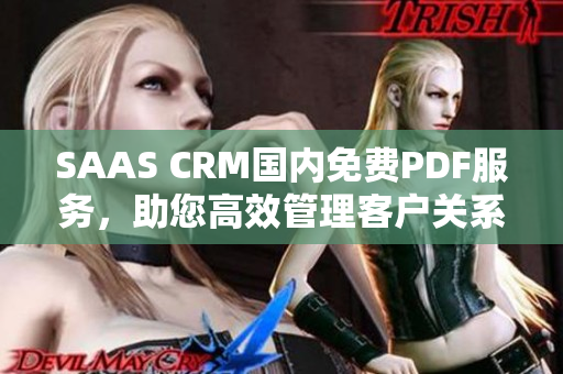 SAAS CRM國內(nèi)免費PDF服務(wù)，助您高效管理客戶關(guān)系
