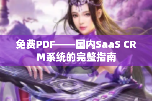免費PDF——國內(nèi)SaaS CRM系統(tǒng)的完整指南