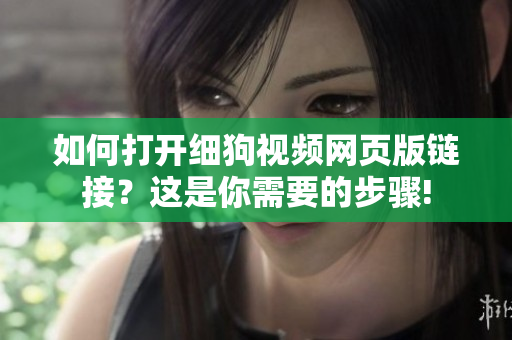 如何打開細(xì)狗視頻網(wǎng)頁版鏈接？這是你需要的步驟!
