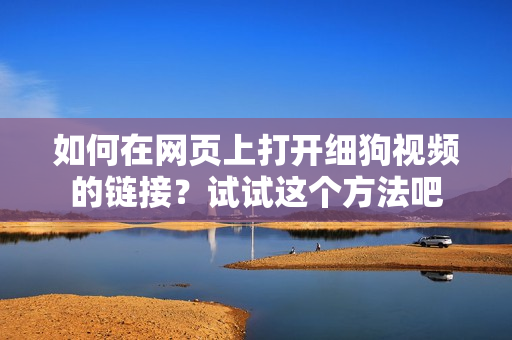 如何在網(wǎng)頁上打開細(xì)狗視頻的鏈接？試試這個(gè)方法吧