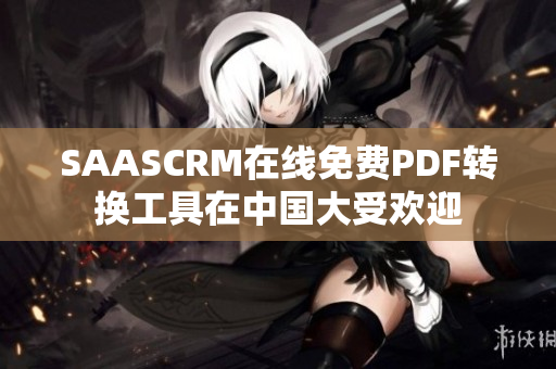 SAASCRM在線免費PDF轉(zhuǎn)換工具在中國大受歡迎