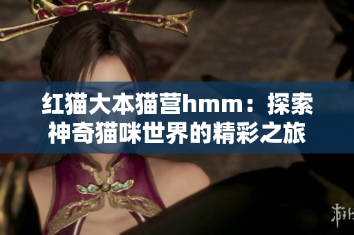 紅貓大本貓營hmm：探索神奇貓咪世界的精彩之旅
