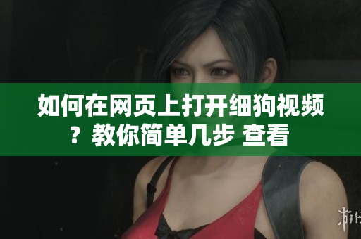 如何在網(wǎng)頁上打開細(xì)狗視頻？教你簡單幾步 查看 