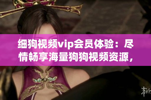 細狗視頻vip會員體驗：盡情暢享海量狗狗視頻資源，帶你探索狗狗世界